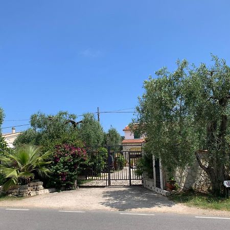 Villa Monica Appartamenti Vieste Exterior foto