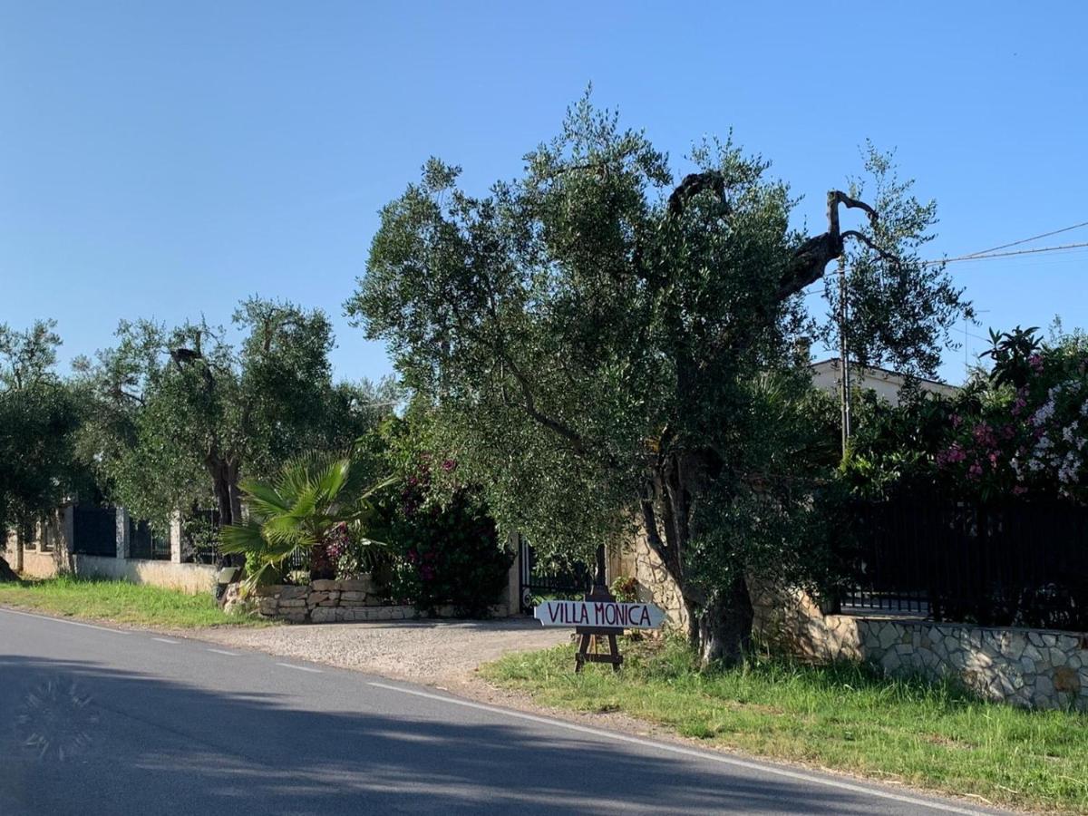 Villa Monica Appartamenti Vieste Exterior foto