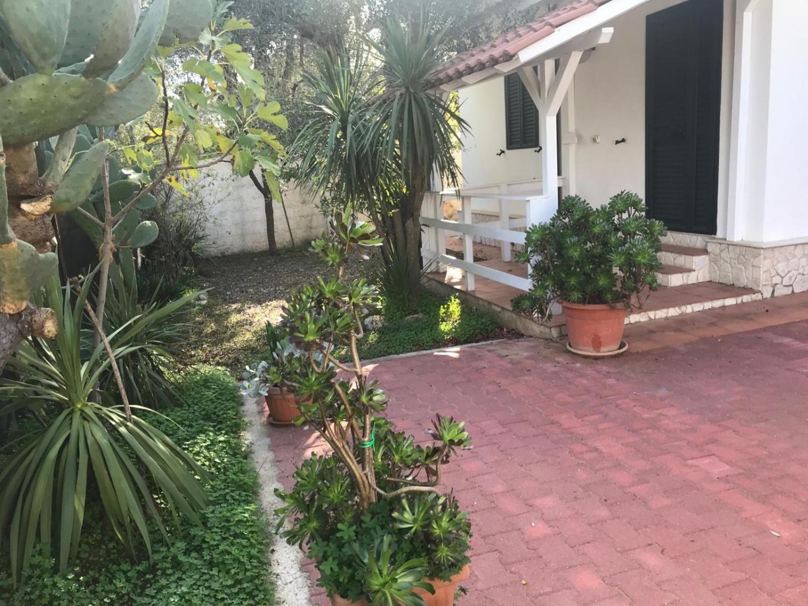 Villa Monica Appartamenti Vieste Exterior foto