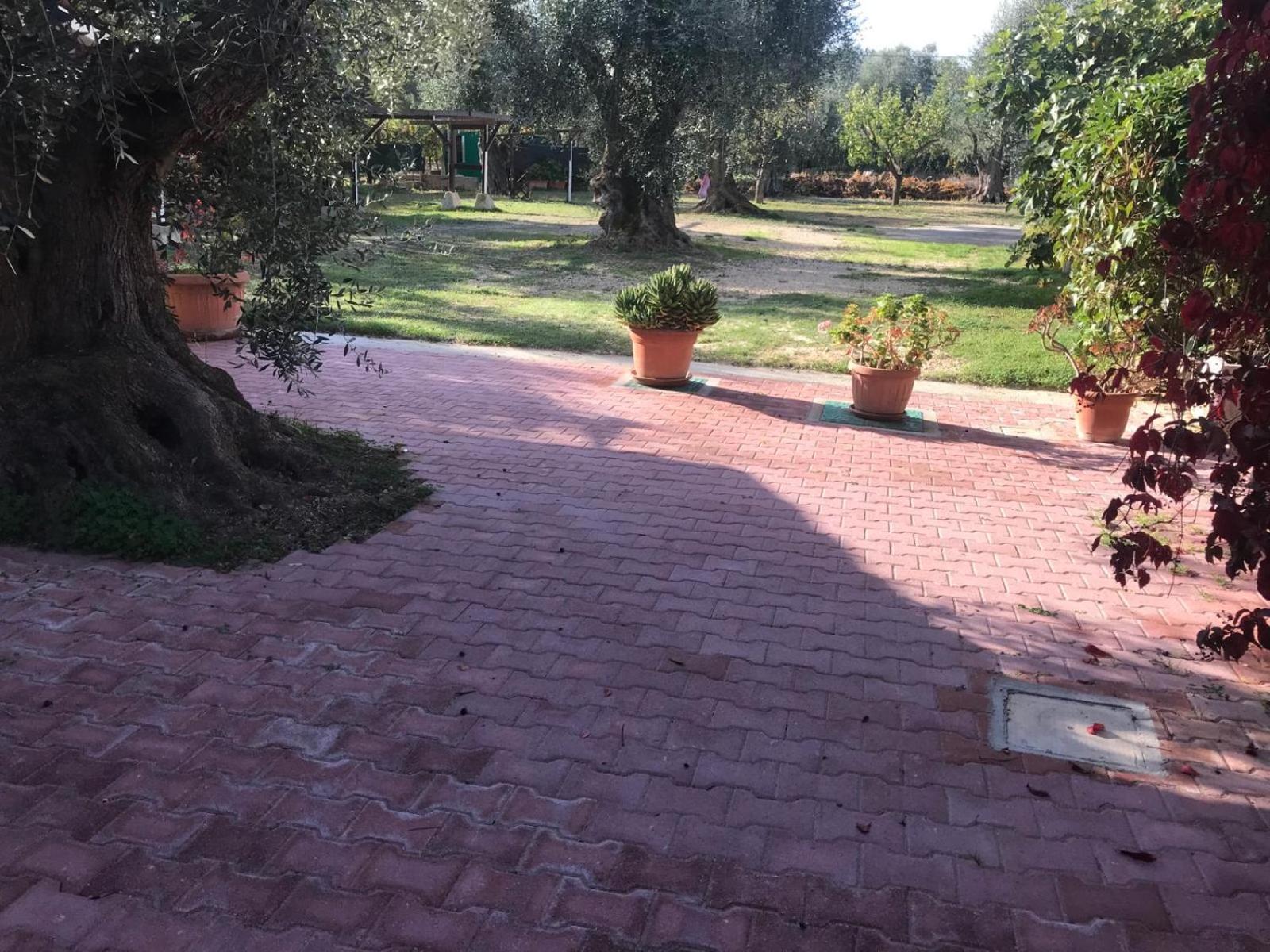 Villa Monica Appartamenti Vieste Exterior foto