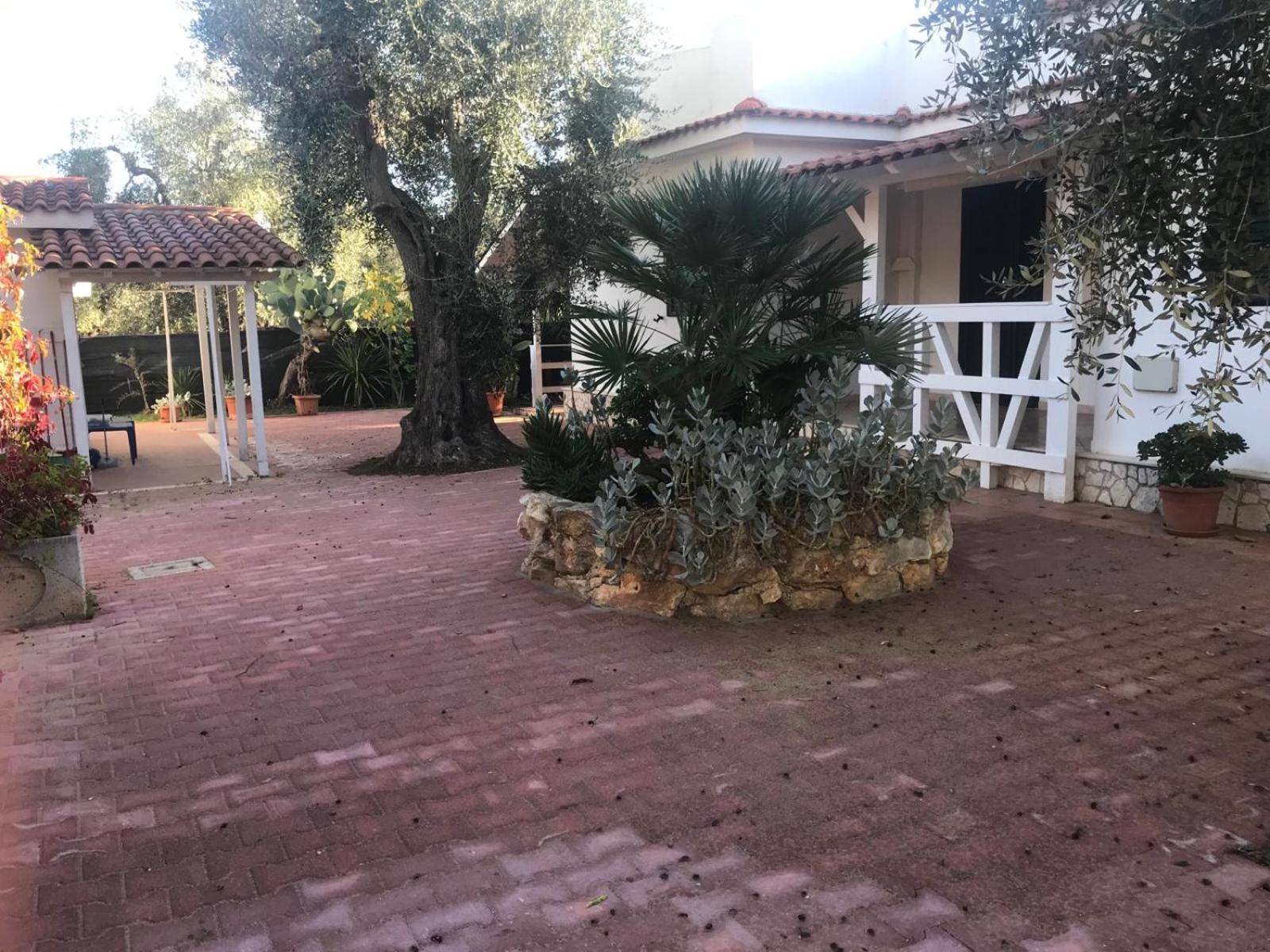 Villa Monica Appartamenti Vieste Exterior foto