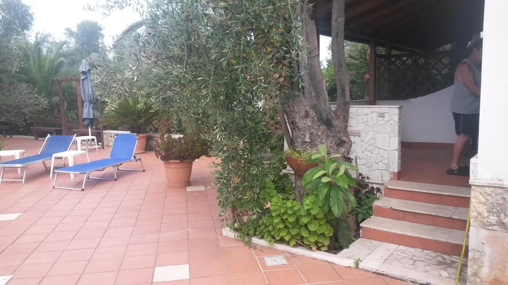Villa Monica Appartamenti Vieste Exterior foto