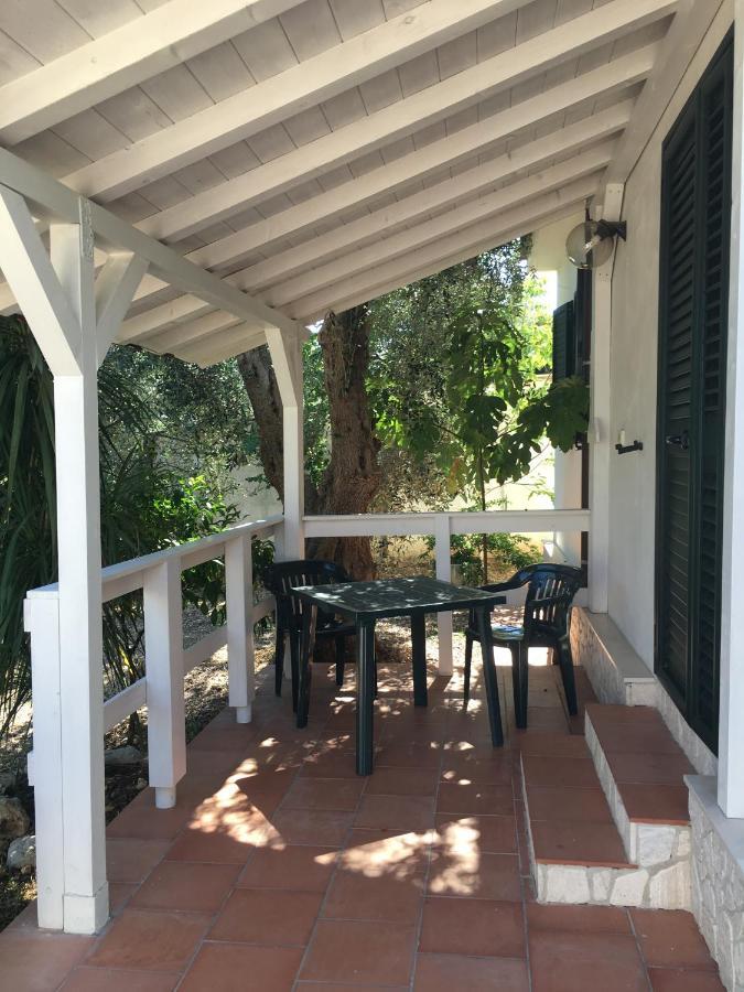 Villa Monica Appartamenti Vieste Exterior foto